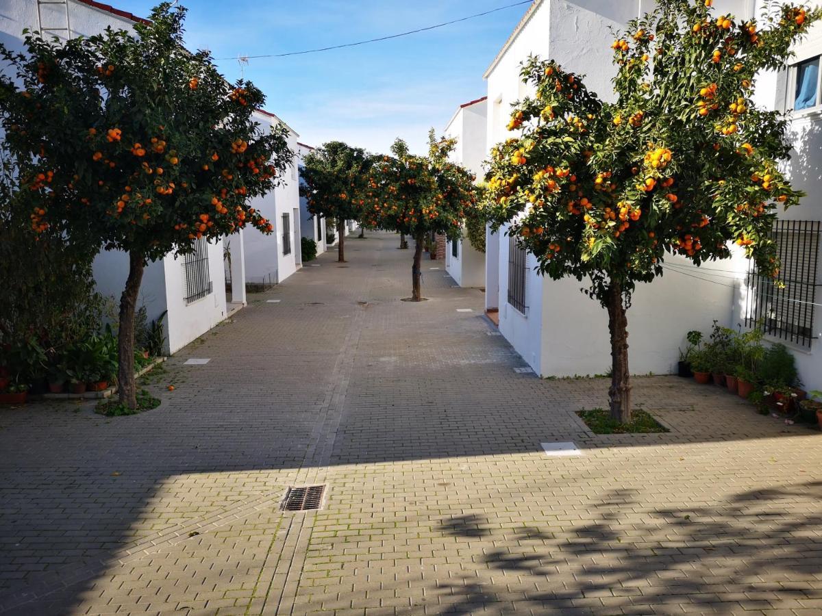 Hermoso En Conil *